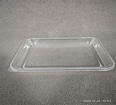 湖北一次性生鮮托盤水果包裝盒